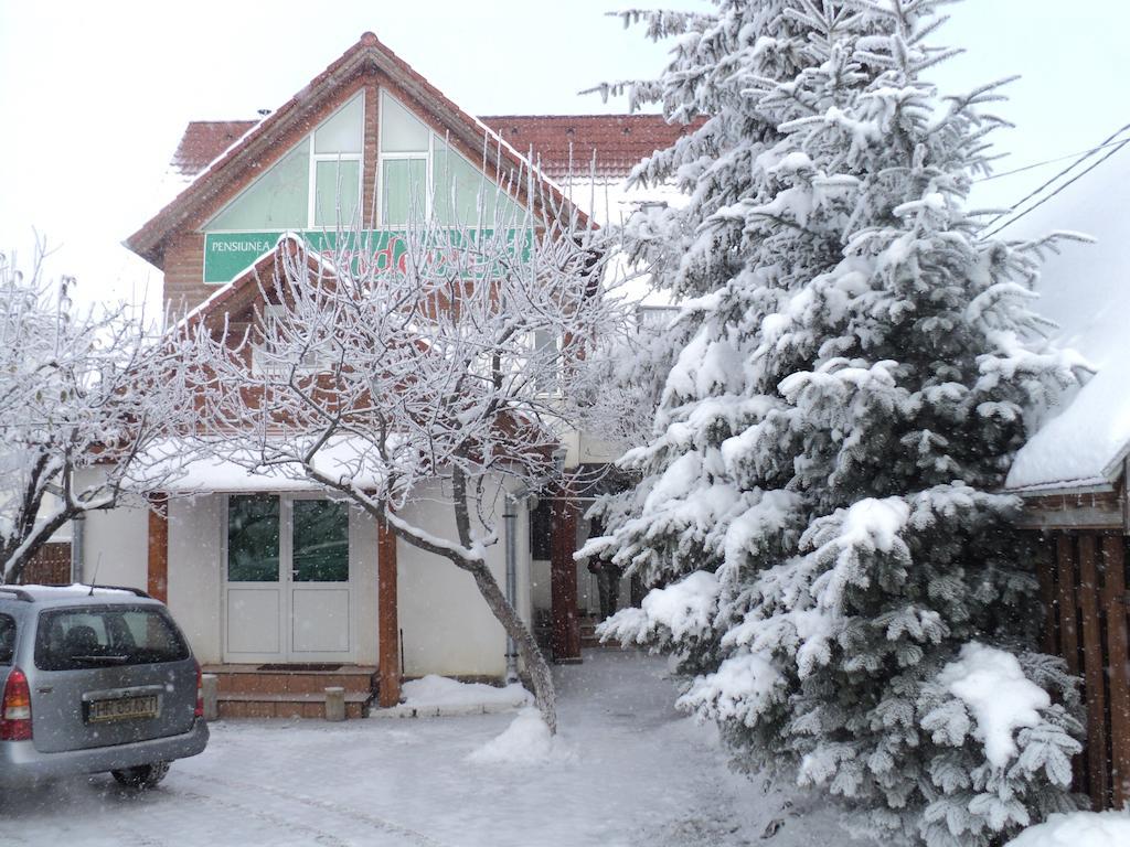 Hotel Randevu Panzio Miercurea Ciuc Zewnętrze zdjęcie